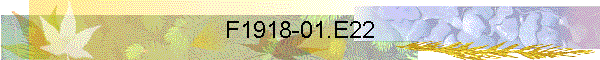 F1918-01.E22