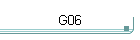 G06