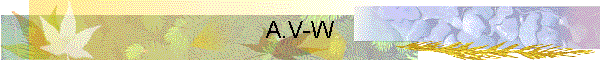 A.V-W