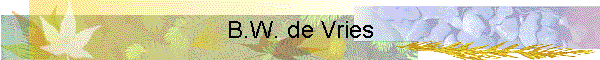 B.W. de Vries