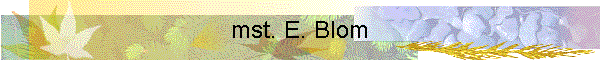 mst. E. Blom