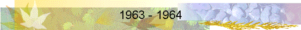 1963 - 1964