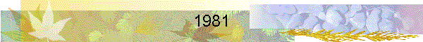 1981