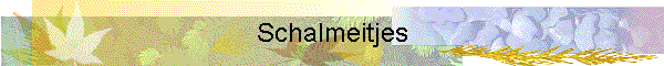 Schalmeitjes