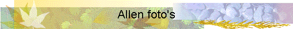 Allen foto's